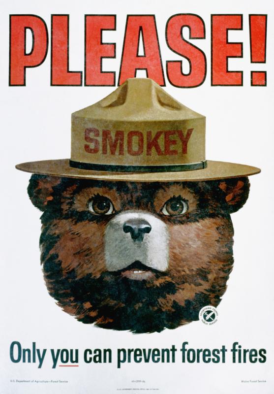 1965 --- Please! Only You Can Prevent Forest Fires Poster --- Image by © K.J. Historical/CORBIS